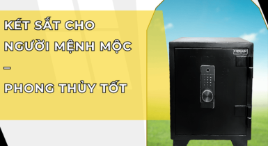 Kinh Nghiệm Chọn Két Sắt Cho Người Mệnh Mộc 