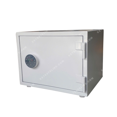 KÉT SẮT CAO CẤP ELINE ENS-35V10 KHÓA THÔNG MINH